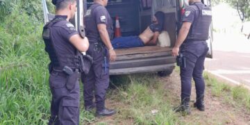 Detuvieron a un contrabandista tras una persecución policial en la ruta provincial 8