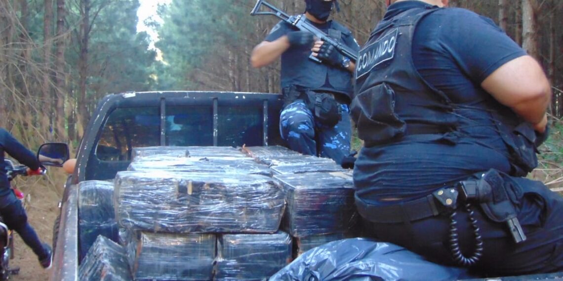 Incautaron casi $6 mil millones en marihuana tras operativo policial en Colonia Mado