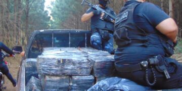 Incautaron casi $6 mil millones en marihuana tras operativo policial en Colonia Mado