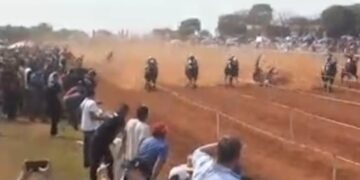 Un caballo murió en plena competencia en el hipódromo y el jinete fue hospitalizado