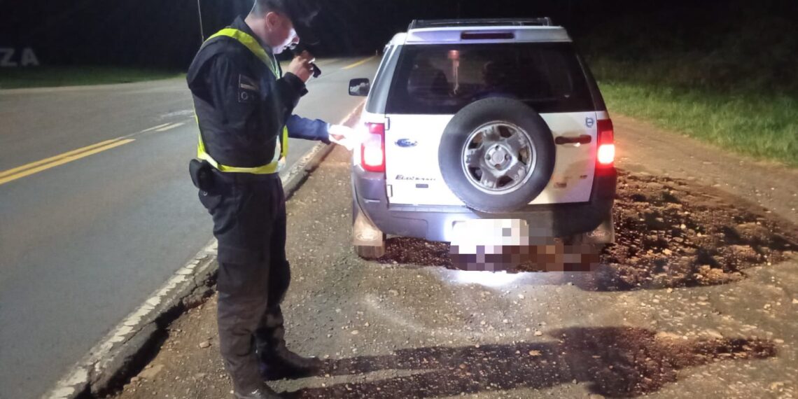 Amplio operativo policial en Misiones para dar con el conductor que atropelló y mató a un puma en Puerto Iguazú