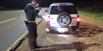 Amplio operativo policial en Misiones para dar con el conductor que atropelló y mató a un puma en Puerto Iguazú