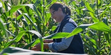 Lideresas de la ruralidad: historias que inspiran y transforman Misiones