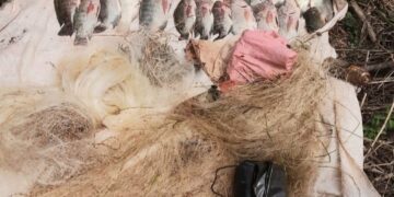 Protección ambiental: la Policía de Misiones combate la caza y pesca ilegal
