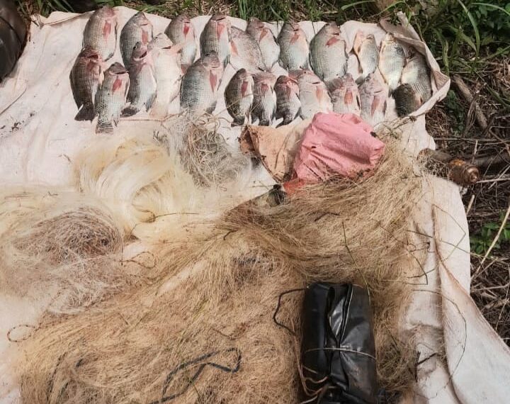 Protección ambiental: la Policía de Misiones combate la caza y pesca ilegal