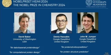 El premio Nobel de Química 2024 fue otorgado a David Baker, Demis Hassabis y John Jumper