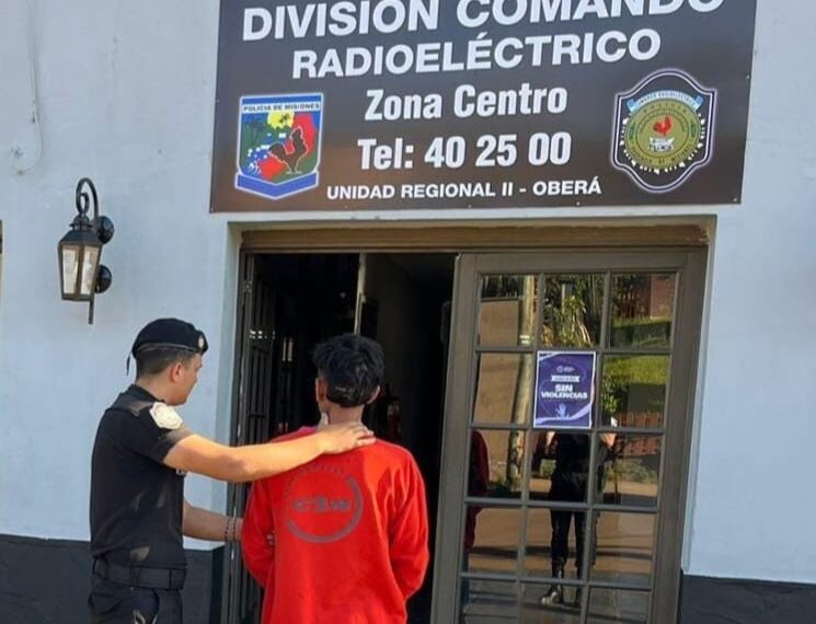 Robó, se escondió debajo de la cama y fue detenido