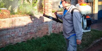 Intensifican el combate al dengue en los barrios de Posadas