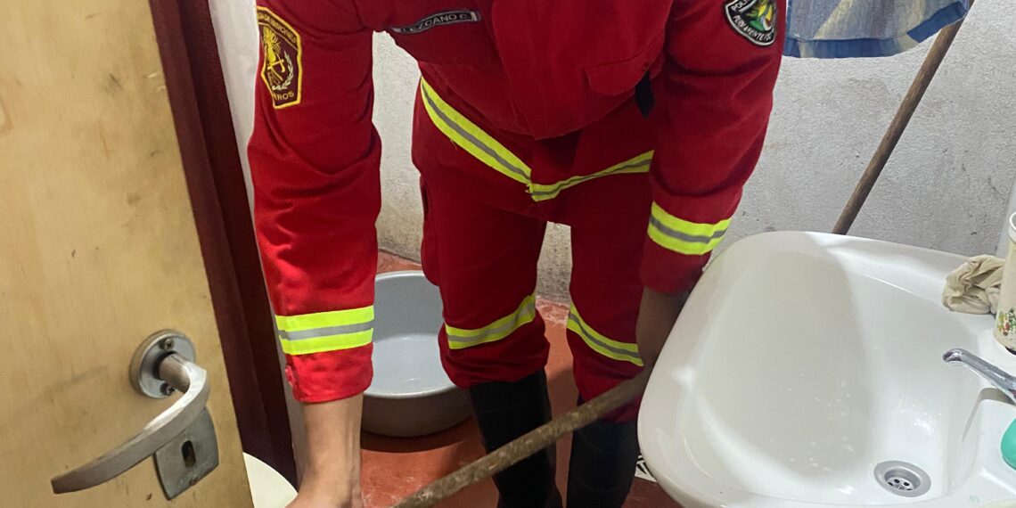 Tremendo susto: una mujer entró al baño y se encontró con una serpiente, bomberos rescataron al ofidio