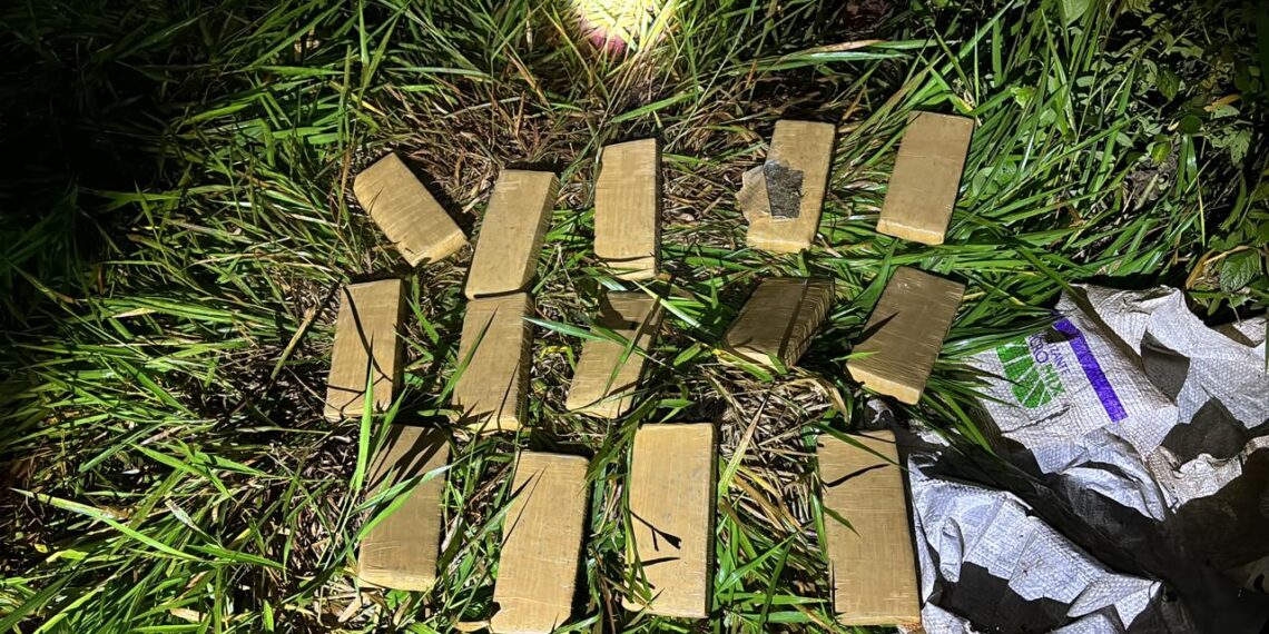 Agentes antinarcóticos secuestraron droga valuada en casi 13 millones de pesos