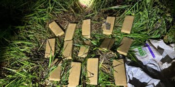 Agentes antinarcóticos secuestraron droga valuada en casi 13 millones de pesos