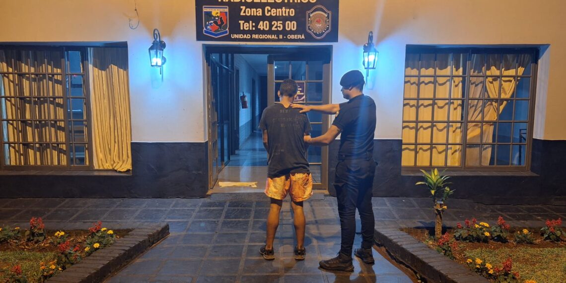 Delincuente se ofreció para ayudar en una mudanza y robó una mochila con dinero: fue detenido
