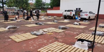 La Policía secuestró casi una tonelada de marihuana valuada en más de 242 millones