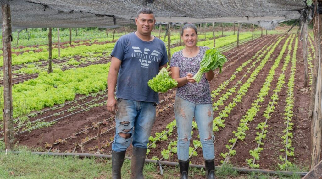 El Ministerio de Agricultura Familiar consolidó el desarrollo productivo y la agroecología en Misiones