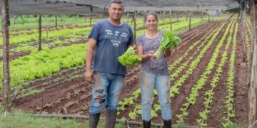 El Ministerio de Agricultura Familiar consolidó el desarrollo productivo y la agroecología en Misiones
