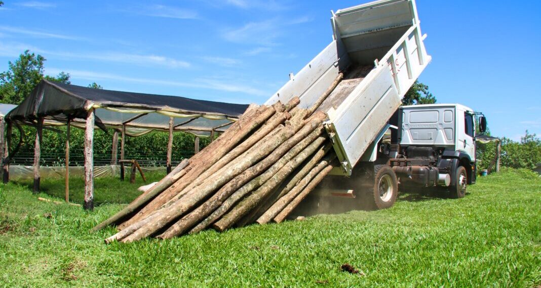 Donan madera nativa incautada a una escuela mbya para la construcción de un invernadero en Gobernador Roca