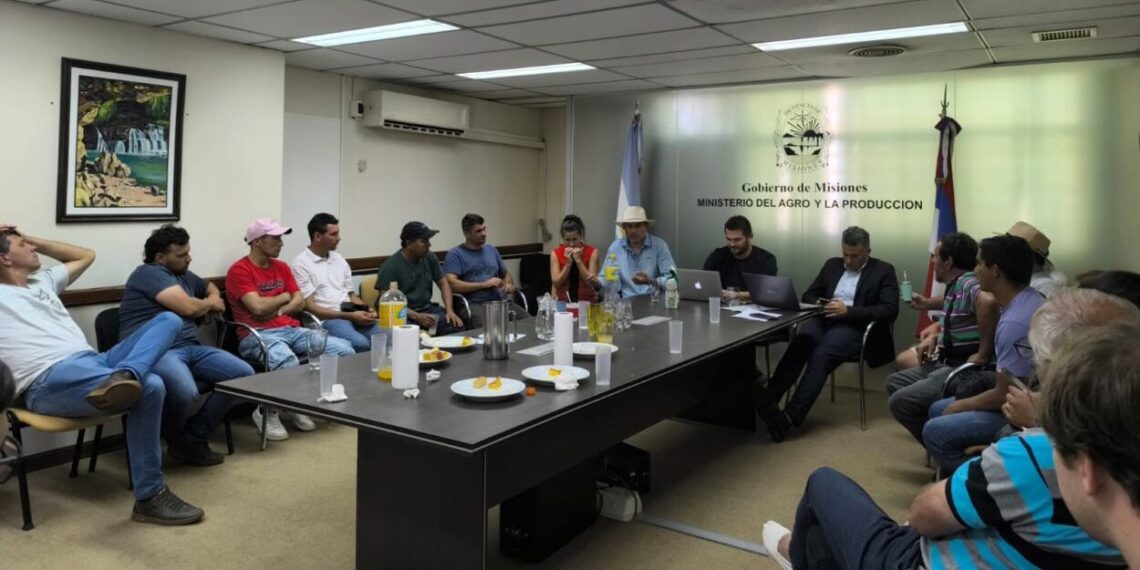 Acuerdo clave entre el Ministerio del Agro y productores yerbateros de la zona Norte de Misiones