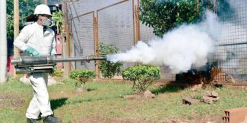 Dengue: se registraron los primeros casos y se insiste en la prevención