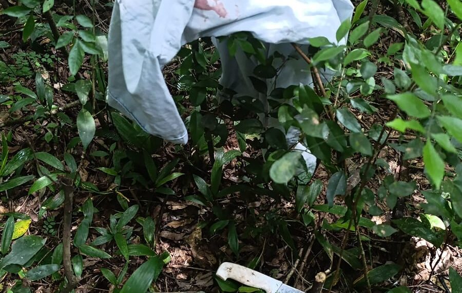 Arrestaron a otros dos presuntos involucrados en el homicidio de un hombre en Santo Pipó