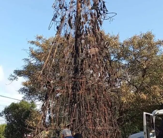 Se incendió el árbol principal de Navidad de Capioví