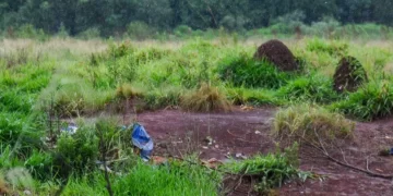 Hallan el cuerpo sin vida de un joven, en el barrio Sol de Misiones
