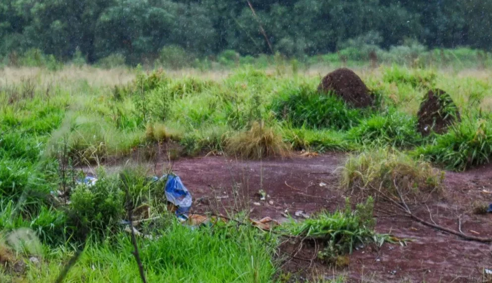 Hallan el cuerpo sin vida de un joven, en el barrio Sol de Misiones
