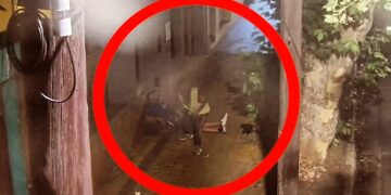 Se quedó dormido esperando el colectivo y delincuentes le robaron: los atraparon con el seguimiento de las cámaras del 911