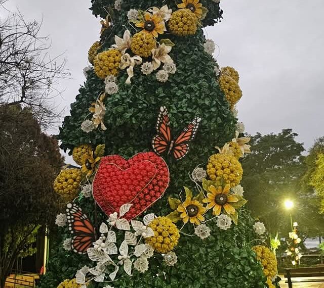 El árbol de Navidad de Capioví vuelve a brillar