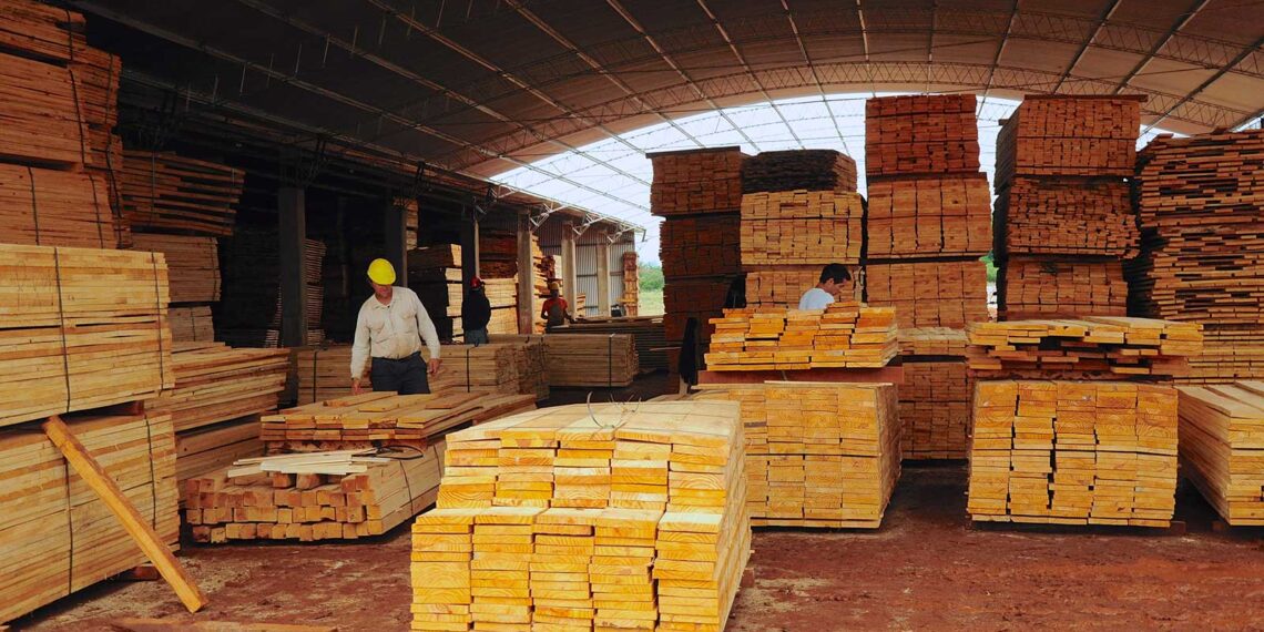 Passalacqua anunció la prórroga de líneas de crédito productivas para sectores estratégicos de Misiones