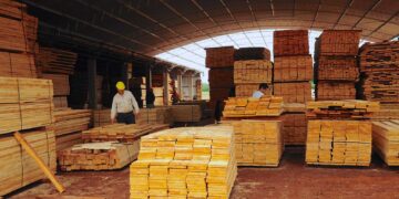 Passalacqua anunció la prórroga de líneas de crédito productivas para sectores estratégicos de Misiones