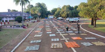 Incautan casi 4 toneladas de marihuana en allanamiento en la provincia