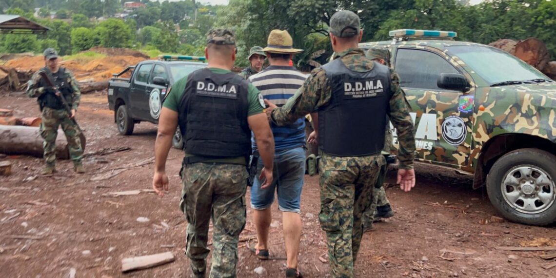 Detienen al dueño de un aserradero en el que encontraron madera nativa que habría sido robada en el Parque Piñalito