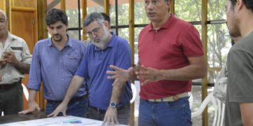 Tala ilegal: el Comité de Crisis se reunió en Urugua-í y acordó avanzar con un censo de vecinos y la confección de un mapa de puntos calientes
