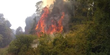 Incendios en Misiones: se registraron al menos 11 intervenciones durante el fin de semana