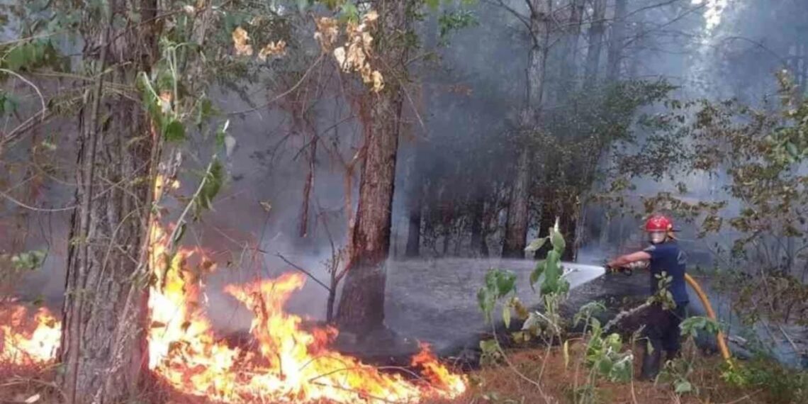 Passalacqua declaró la emergencia ígnea en Misiones por sequía extrema