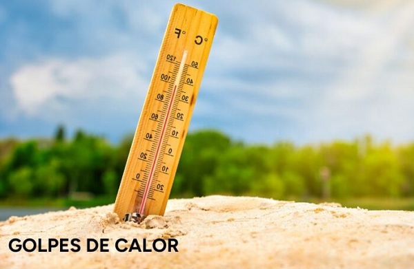 Temperaturas altas: evitar exponerse al sol y beber abundante agua