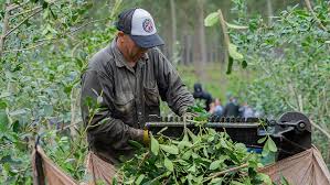El Gobierno de Misiones prorrogó hasta el 30 de junio créditos productivos