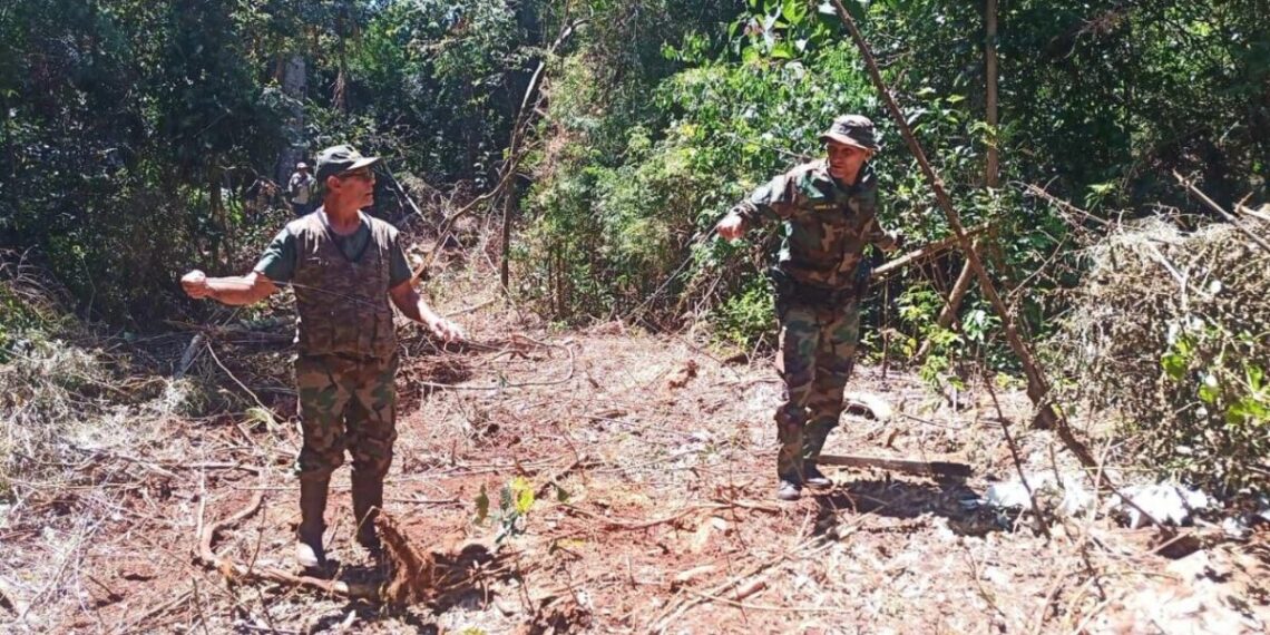Desarticulan intento de robo de madera nativa en el Parque Provincial Foerster