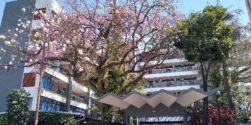 Comienza el Curso de Ingreso 2025 en todas las sedes del Instituto Montoya