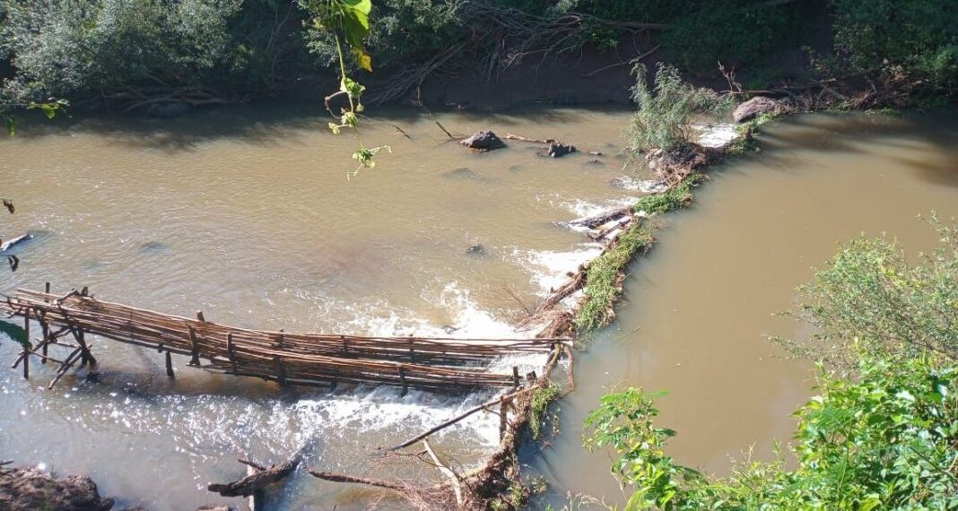 Desarman dos trampas París que obstaculizaban el arroyo Yabebirí