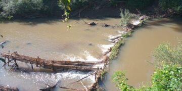 Desarman dos trampas París que obstaculizaban el arroyo Yabebirí