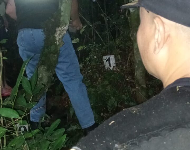 San Vicente: Hallaron restos óseos humanos y buscan determinar la identidad