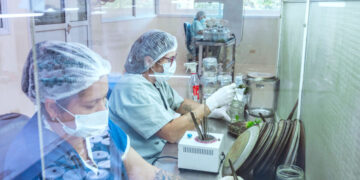 Misiones será sede del mayor encuentro de biotecnología del país