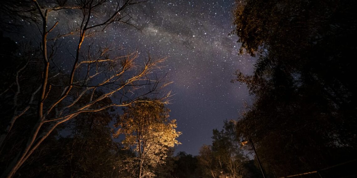 “Noches en el Parque”, una experiencia sensorial en la selva misionera