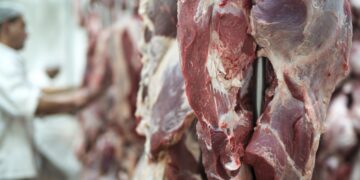 Argentina rompe récord en exportaciones de carne vacuna: se enviaron más de 900 mil toneladas en 2024