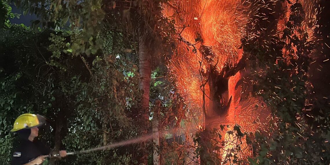 Con la moderna flota de vehículos de acción rápida bomberos extinguieron incendios en Posadas