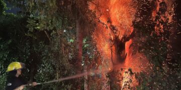 Con la moderna flota de vehículos de acción rápida bomberos extinguieron incendios en Posadas