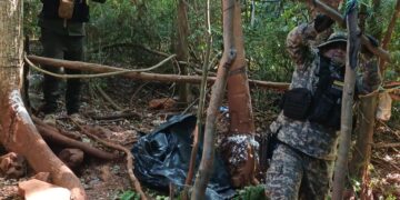 Policías ambientales desmantelaron dos campamentos ilegales de caza furtiva