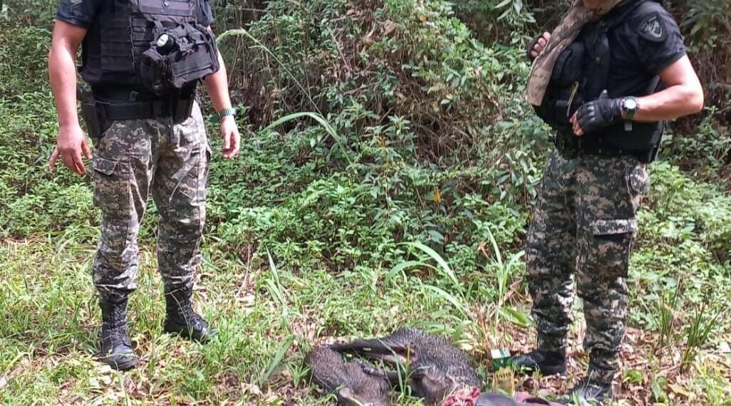 Policías desmantelan red de caza furtiva en Puerto Piray: dos detenidos, armas y animales silvestres incautados