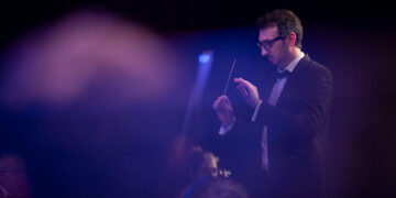 La Orquesta de Cámara se presenta este sábado con el cisne como protagonista